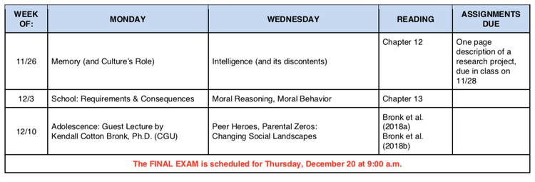 syllabus P2e